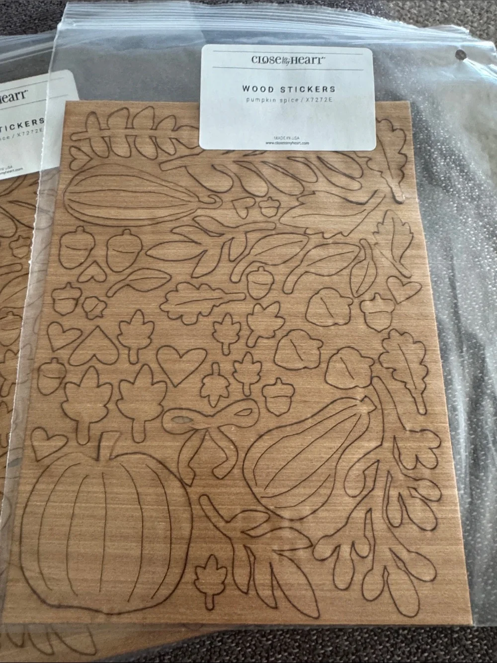 Close to My Heart Brown Wood Sticker Sheets - Fall Shapes
